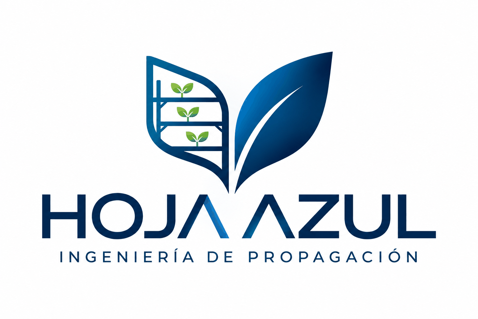 Hoja Azul — Propagation Systems Engineering